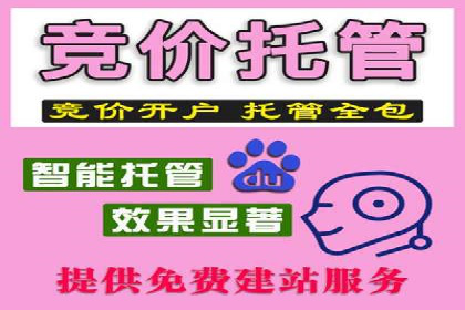 SEM竞价代运营公司案例详解：如何制定有效的竞价策略